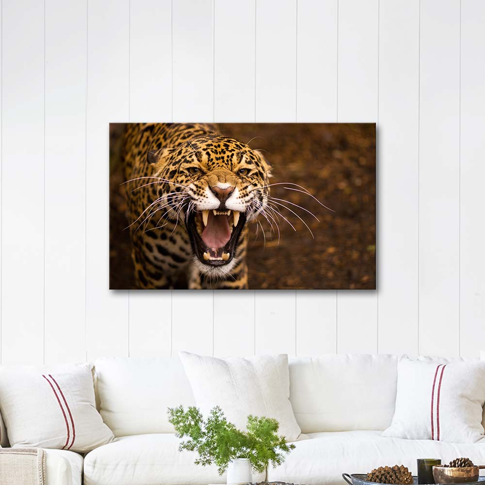Jaguar Art Print