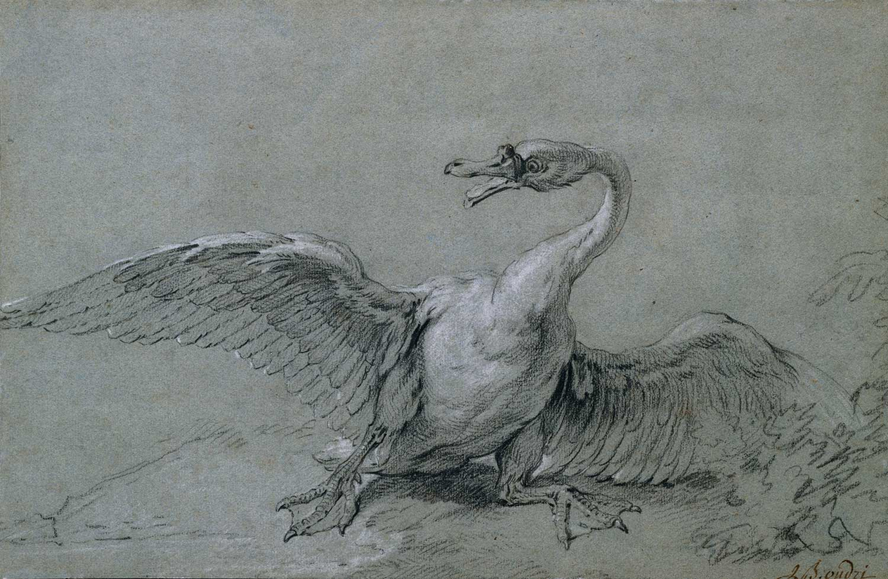 Jean-Baptiste Oudry Angry Swan Art Print