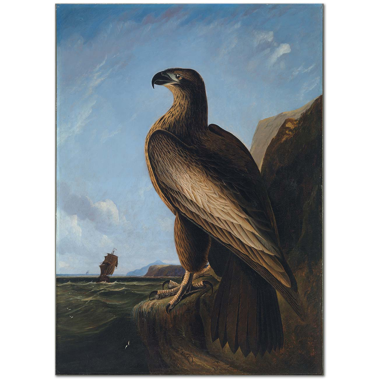 John James Audubon Washington Sea Eagle Art Print