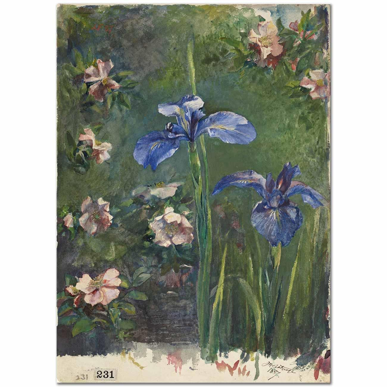 John La Farge Yabani Güller ve Süsenler Kanvas Tablo