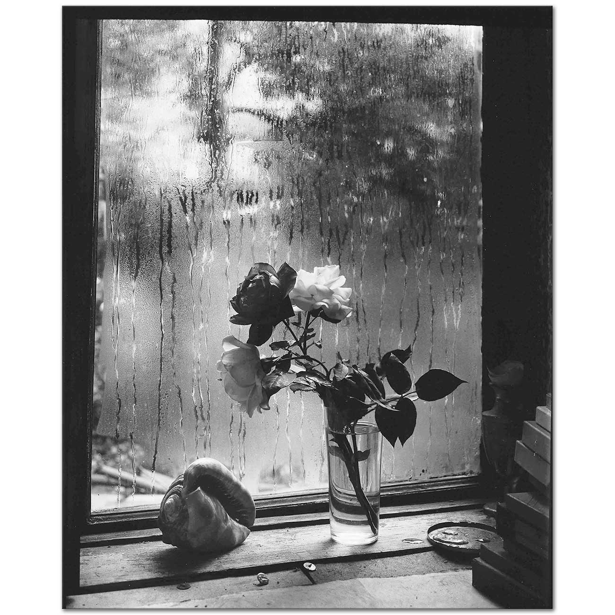 Josef Sudek Son Güller Kanvas Tablo