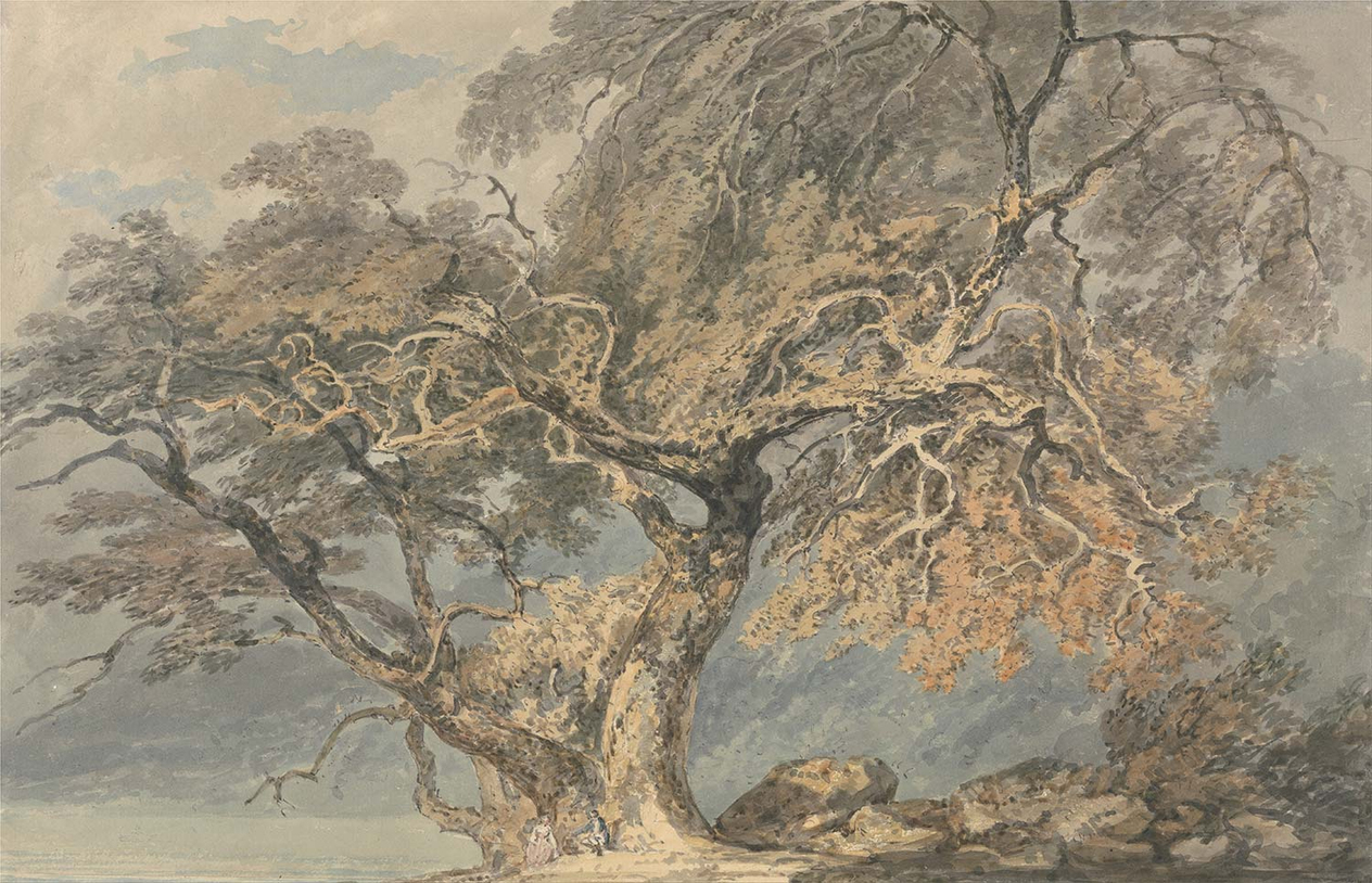 Joseph Mallord William Turner A Great Tree Art Print