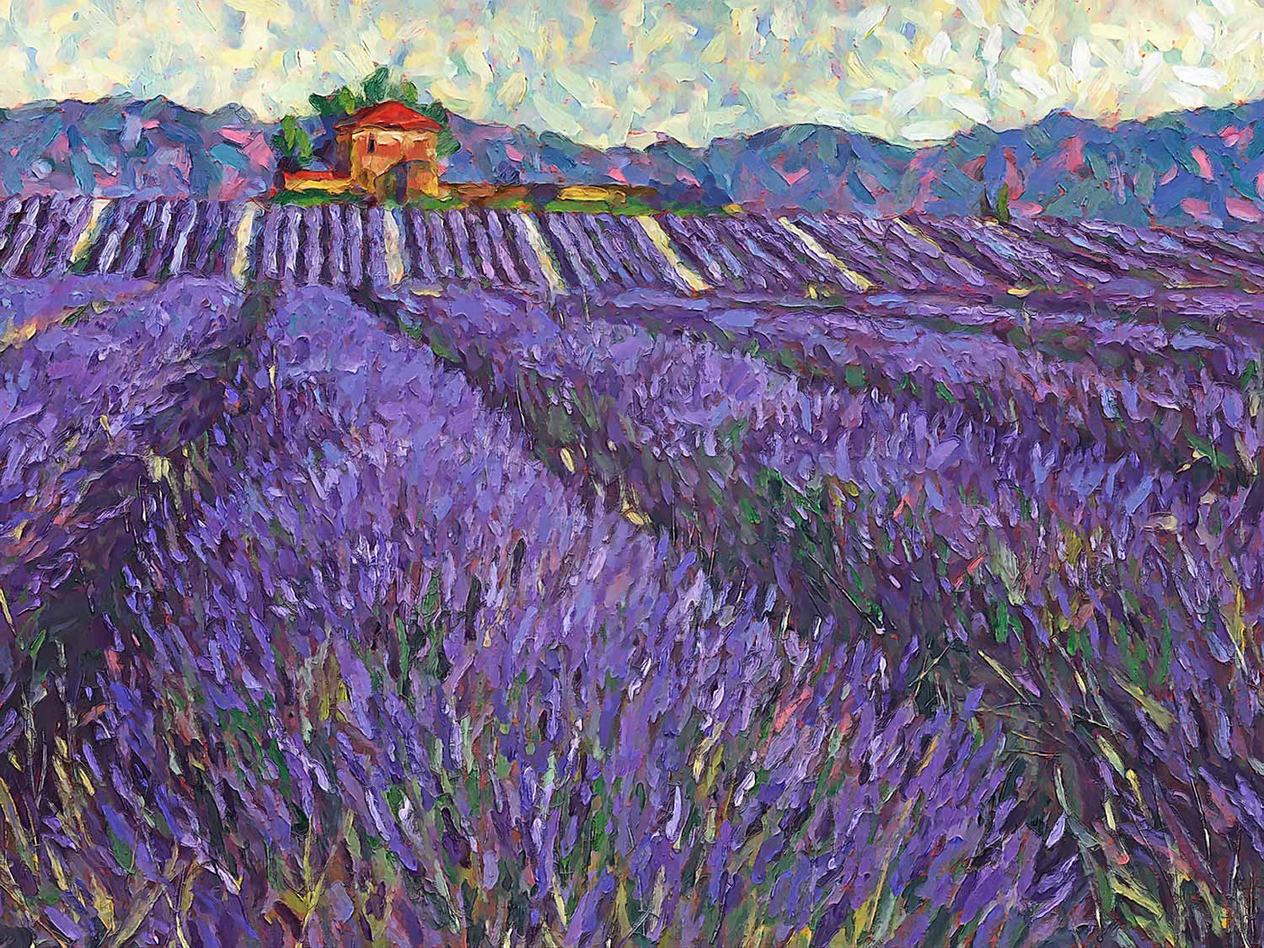Lavender Field 01 Art Print