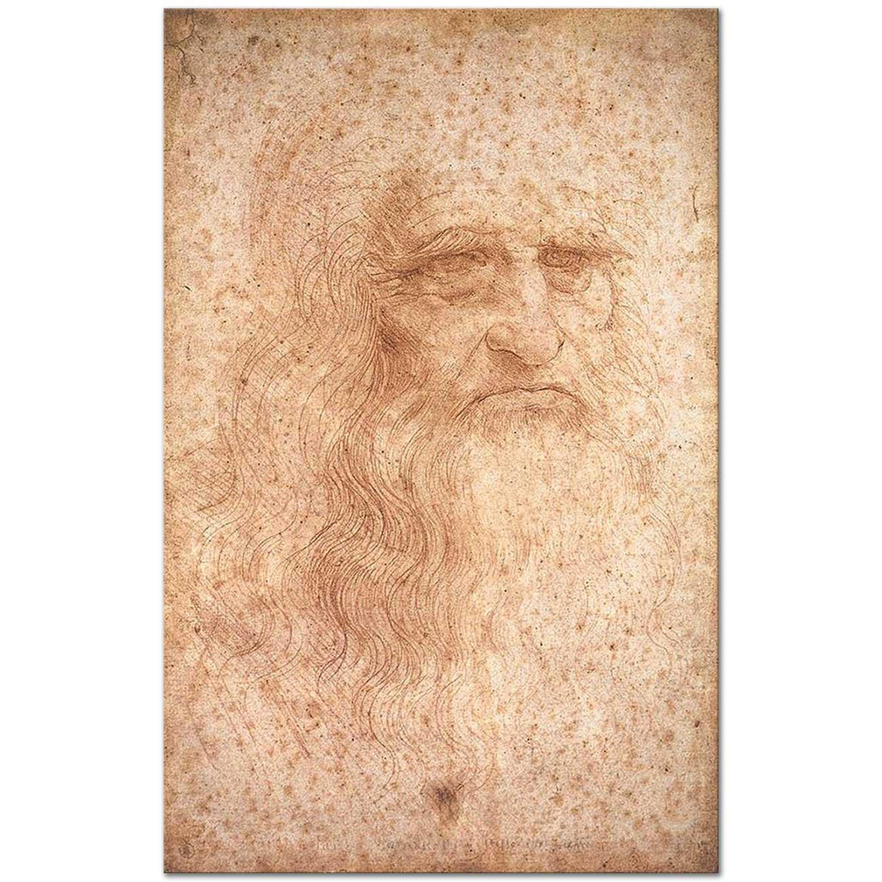 Leonardo da Vinci Self-Portrait Art Print