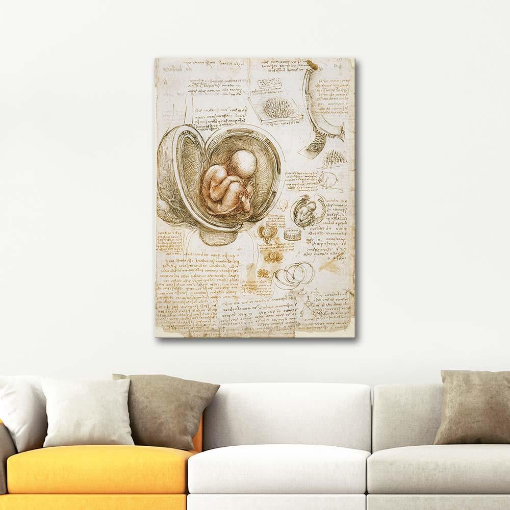 Leonardo da Vinci The Fetus In The Womb Art Print