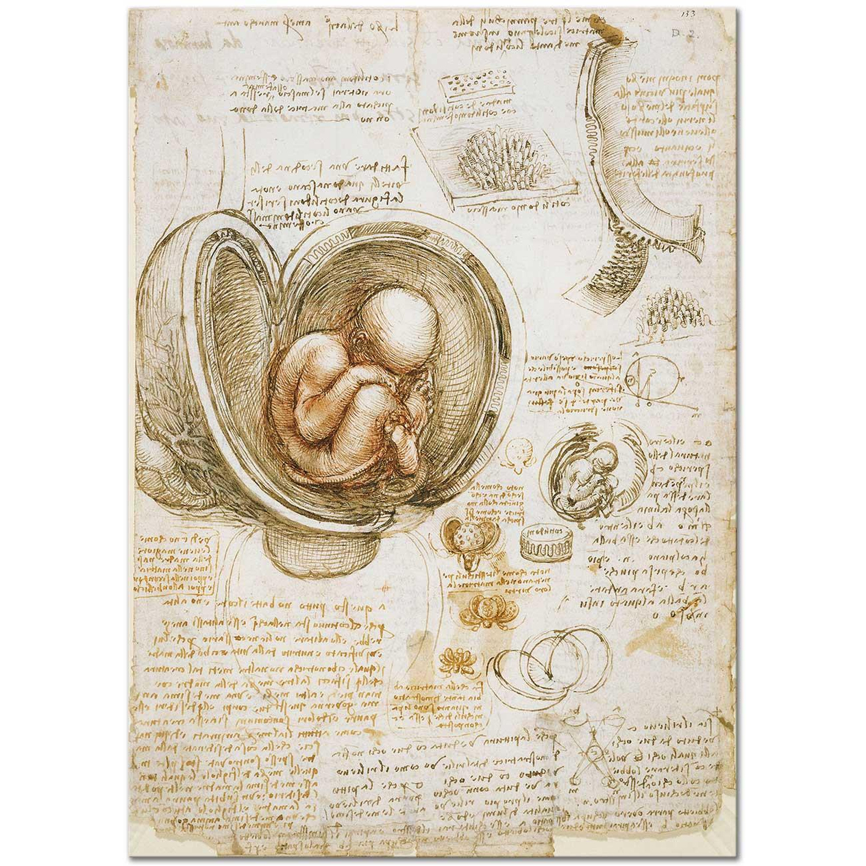 Leonardo da Vinci Rahimdeki Fetus Kanvas Tablo
