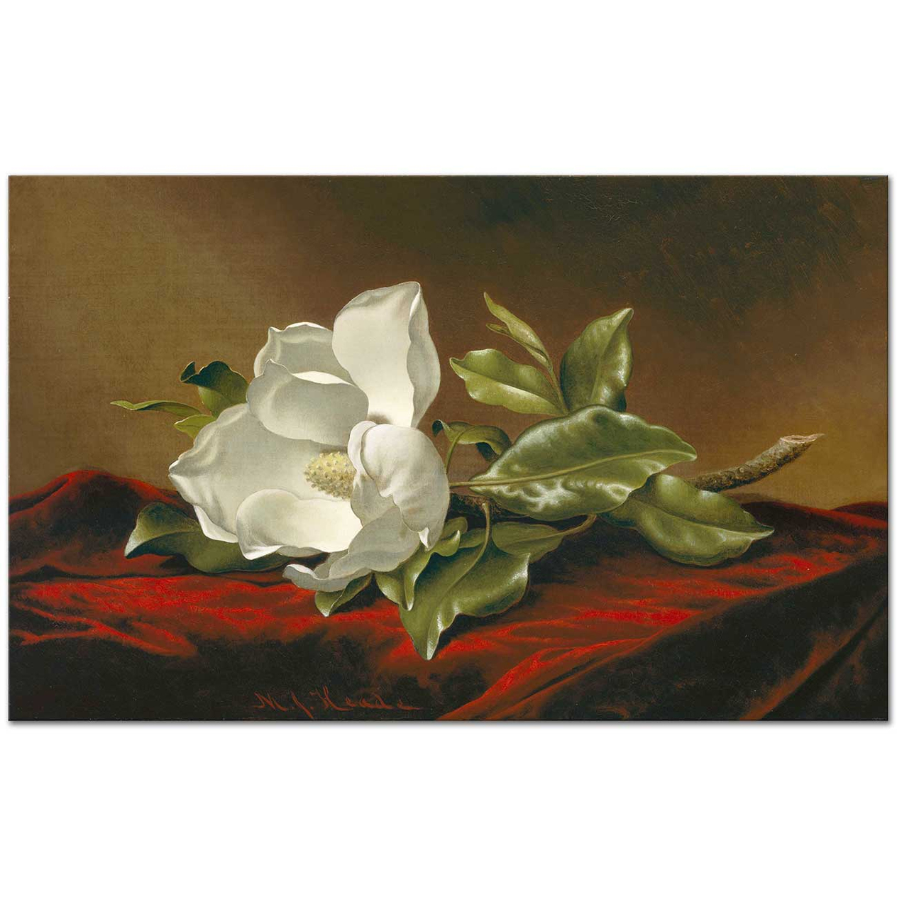 Martin Johnson Heade Kırmızı Kadifede Manolya Kanvas Tablo