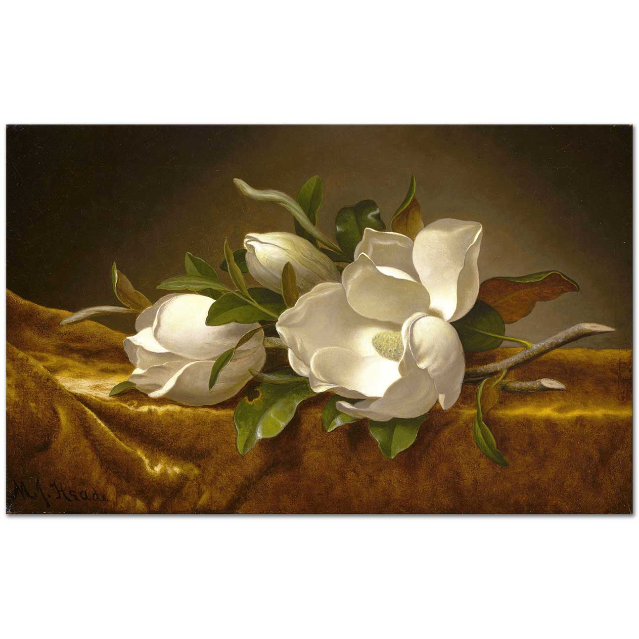 Martin Johnson Heade Altın Kadifede Manolyalar Kanvas Tablo