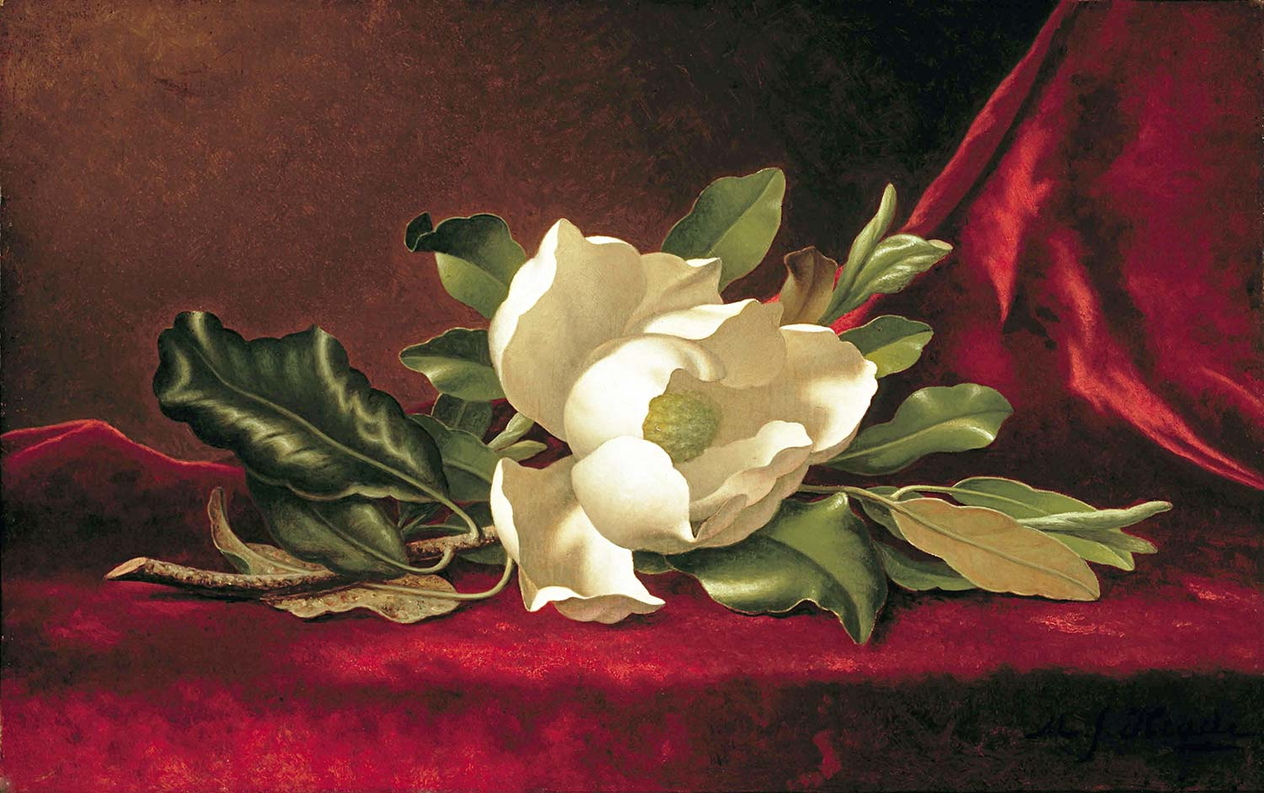 Martin Johnson Heade Manolya Demeti Kanvas Tablo