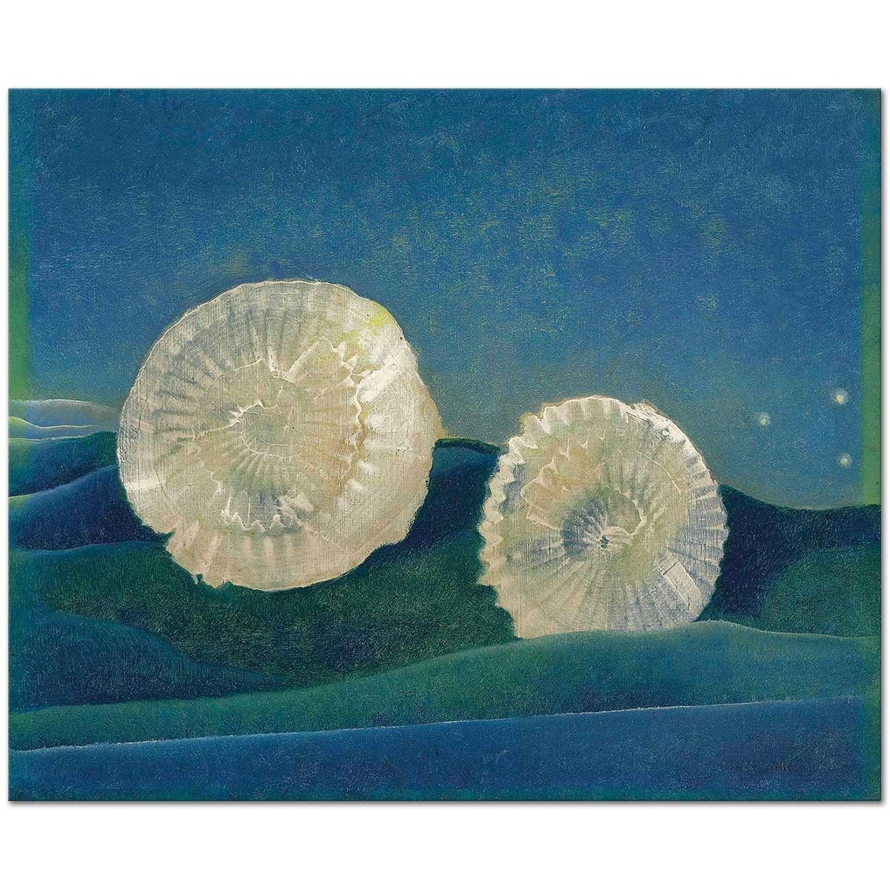 Max Ernst Shells Art Print
