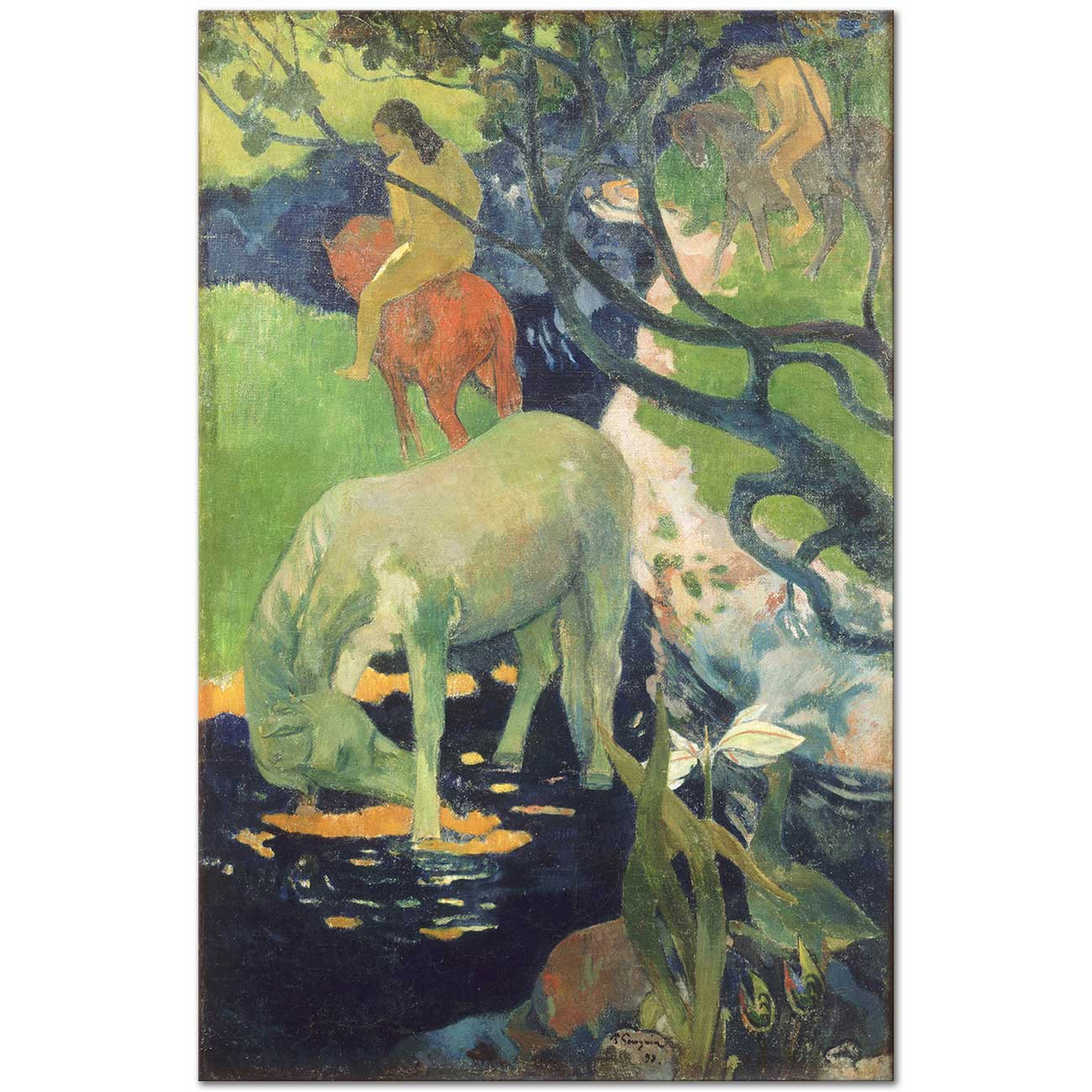 Paul Gauguin Beyaz At Kanvas Tablo