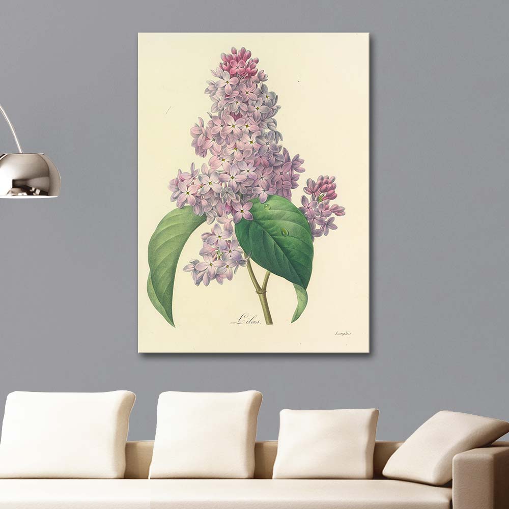 Pierre Joseph Redoute Lilac Art Print