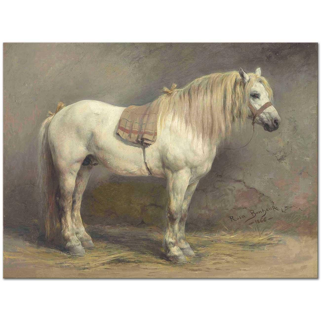 A White Horse by Rosa Bonheur
