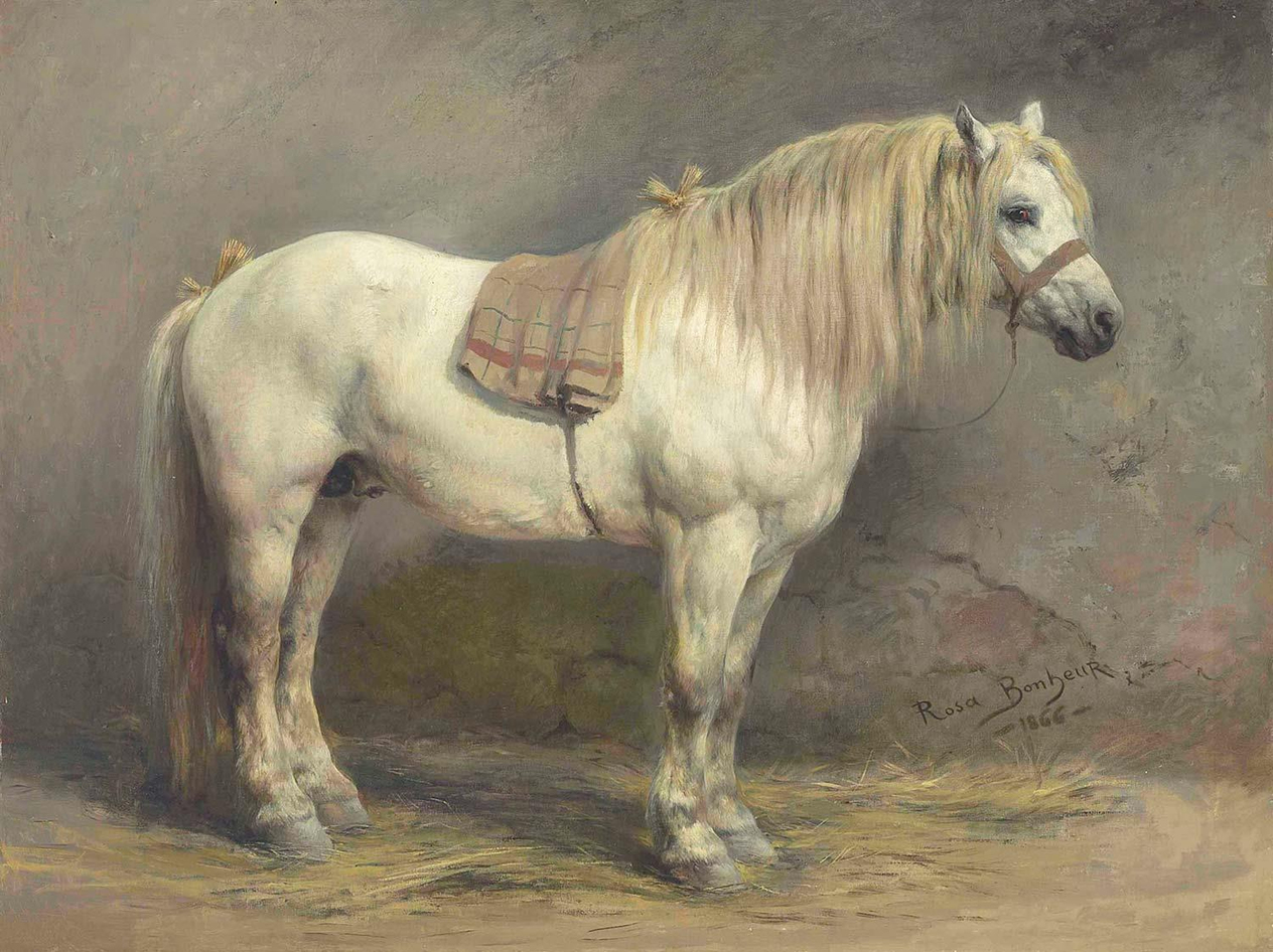 A White Horse by Rosa Bonheur