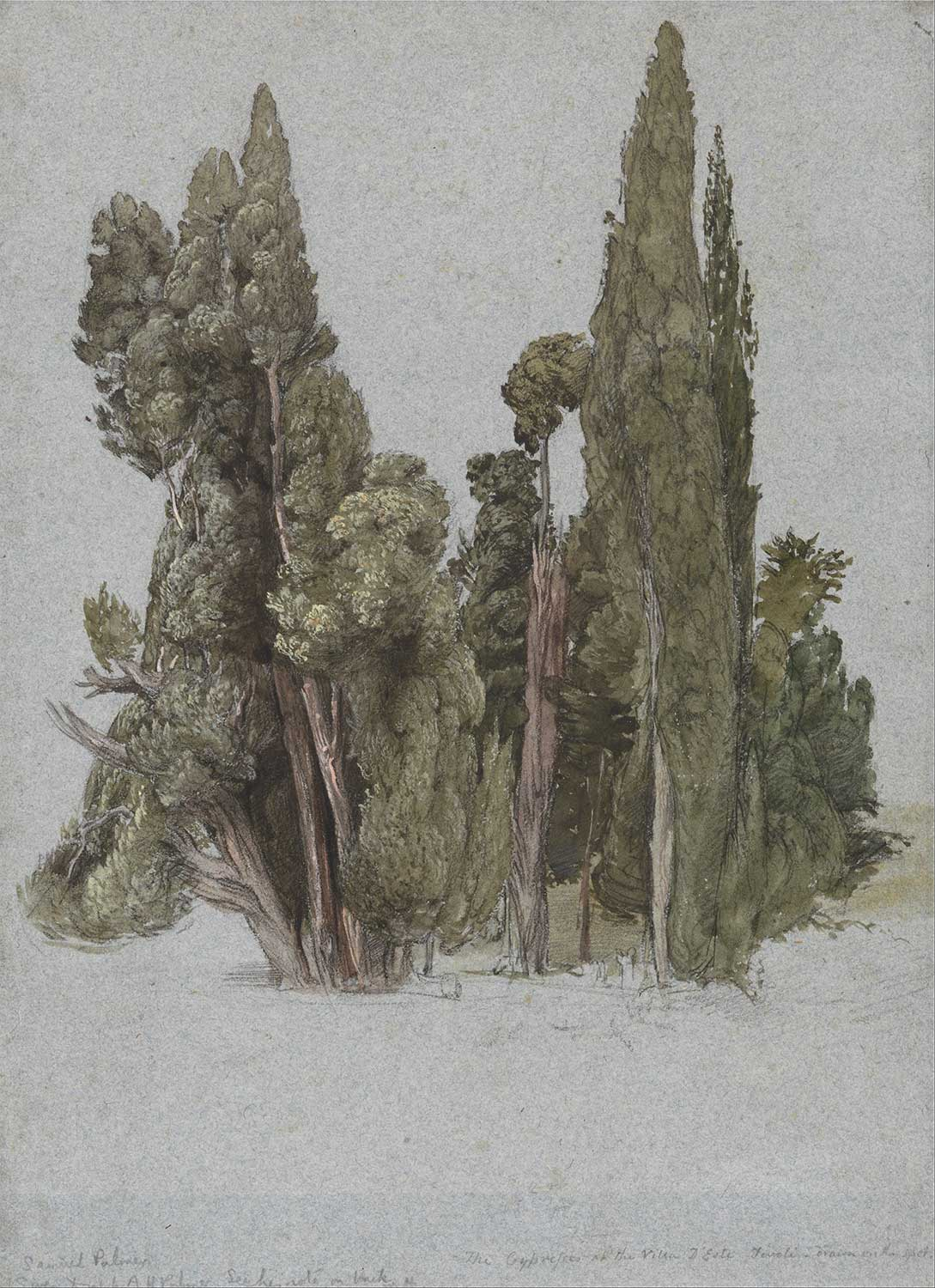 Samuel Palmer The Cypresses at the Villa d'Este, Tivoli Art Print
