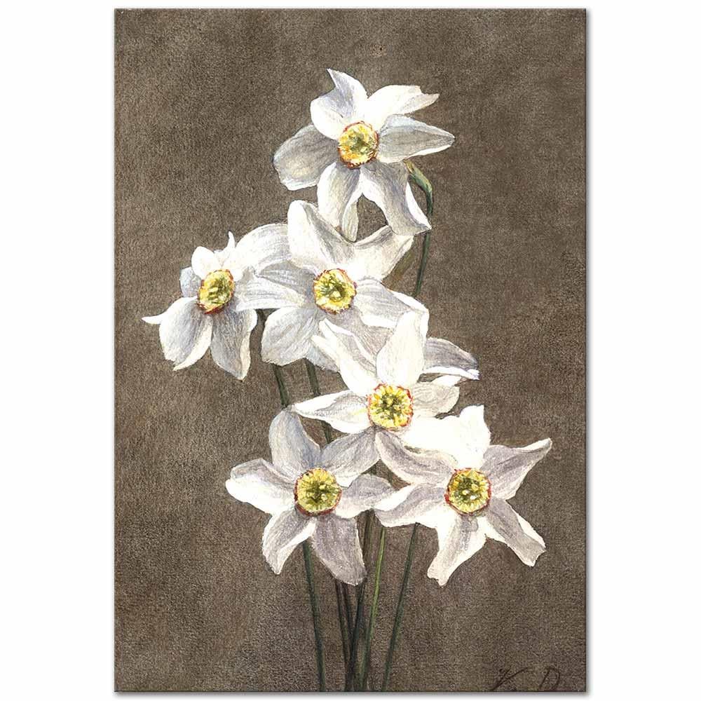 Victoria Dubourg Fantin-Latour Nergisler Kanvas Tablo