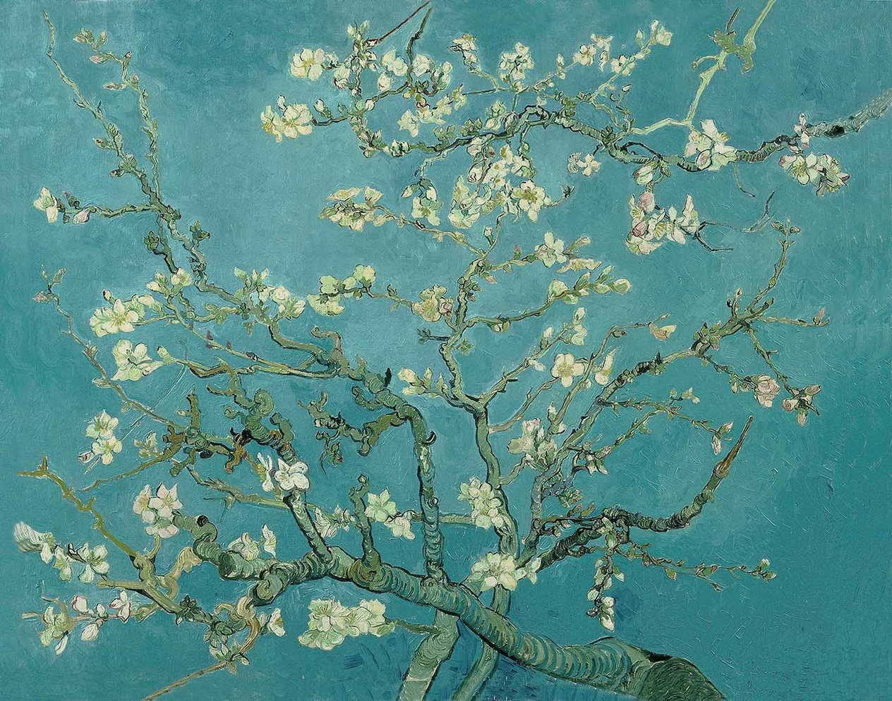Almond Blossoms by Vincent van Gogh