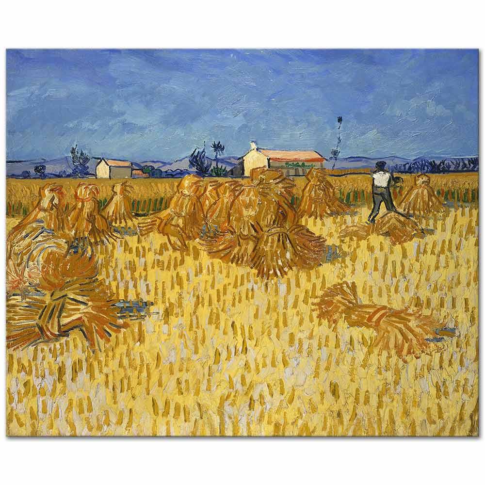 Vincent van Gogh Provence'te Hasat Kanvas Tablo