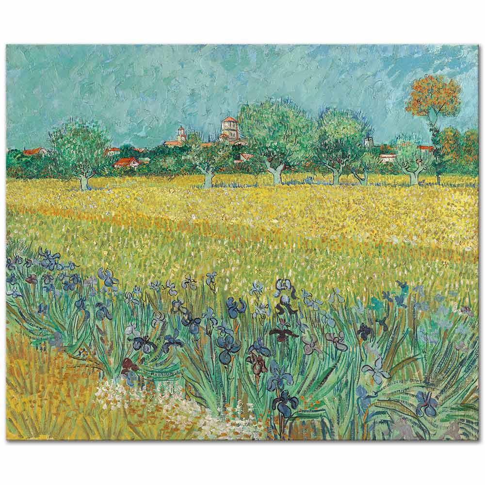 Vincent van Gogh Arles'e Bakış ve Süsenler Kanvas Tablo