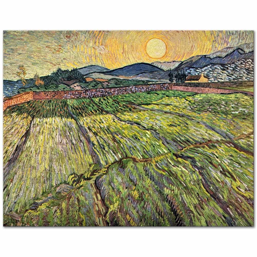 Vincent van Gogh Çiçeklenmiş Tarlalar Kanvas Tablo