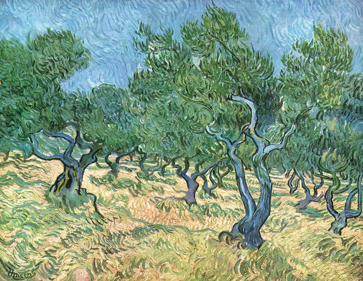Vincent van Gogh Zeytinlik Kanvas Tablo