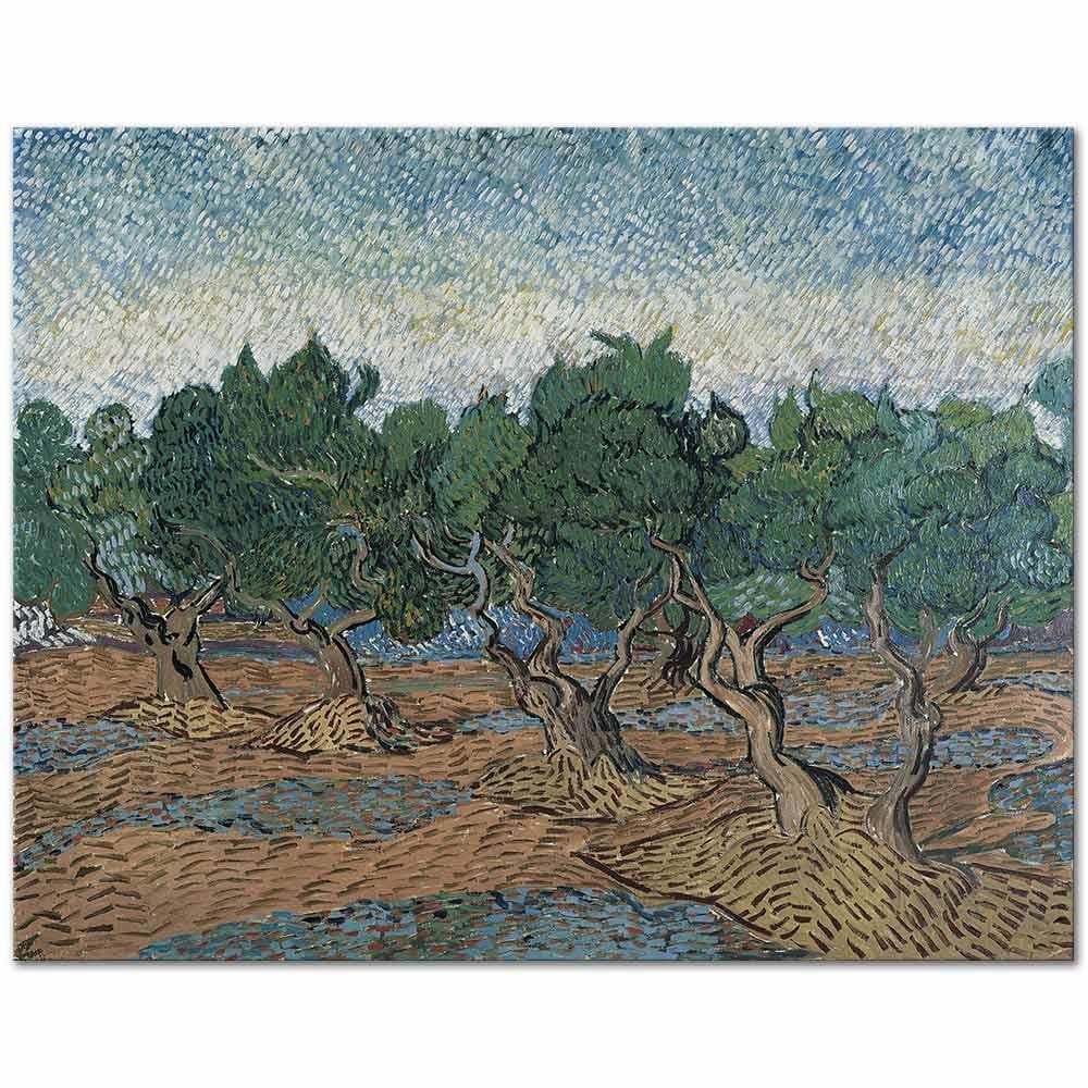 Vincent van Gogh Zeytinlikte Ağaçlar Kanvas Tablo