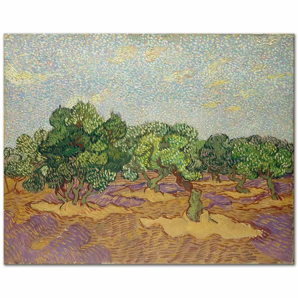 Vincent van Gogh Tarlada Zeytin Ağaçları Kanvas Tablo