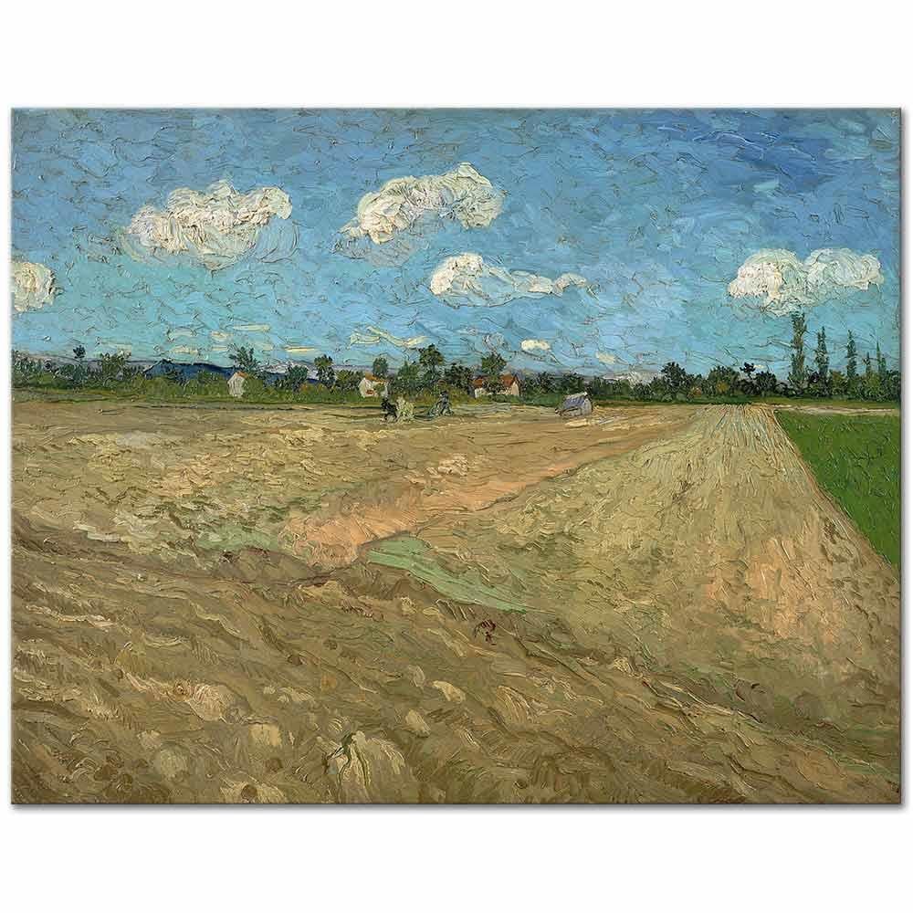 Vincent van Gogh Sürülmüş Tarlalar Kanvas Tablo