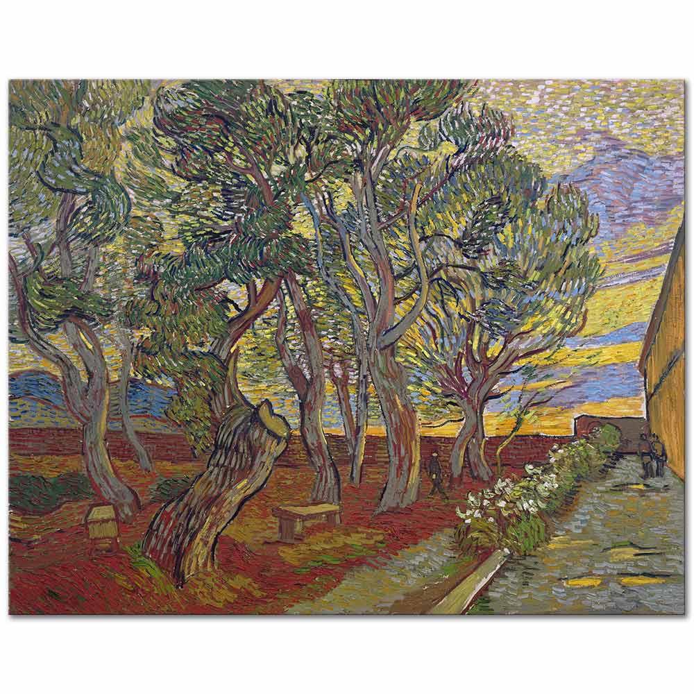 Vincent van Gogh Saint Paul Hastanesi Bahçesi Kanvas Tablo