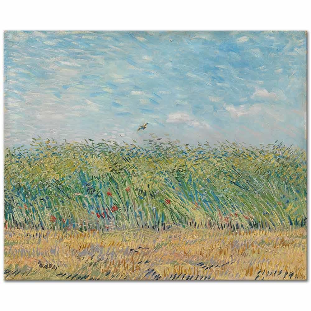 Vincent van Gogh Buğday Tarlası ve Keklik Kanvas Tablo