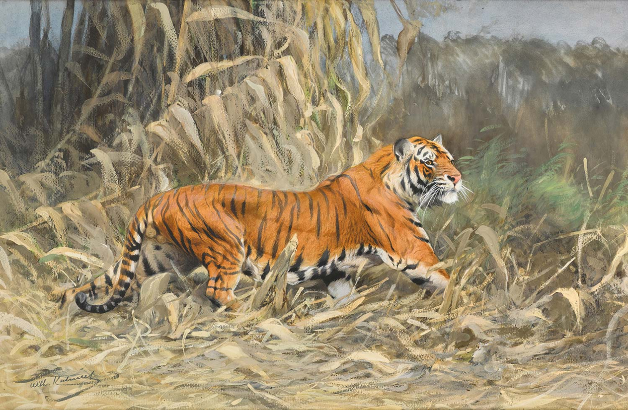 Wilhelm Kuhnert In The Jungle Art Print