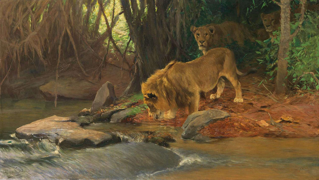 Wilhelm Kuhnert Lions At The Jungle Stream Art Print