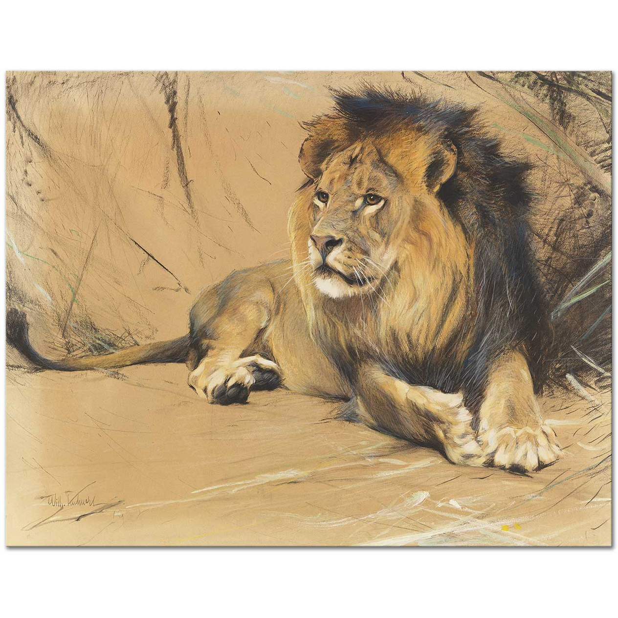 Wilhelm Kuhnert Lying Lion Art Print
