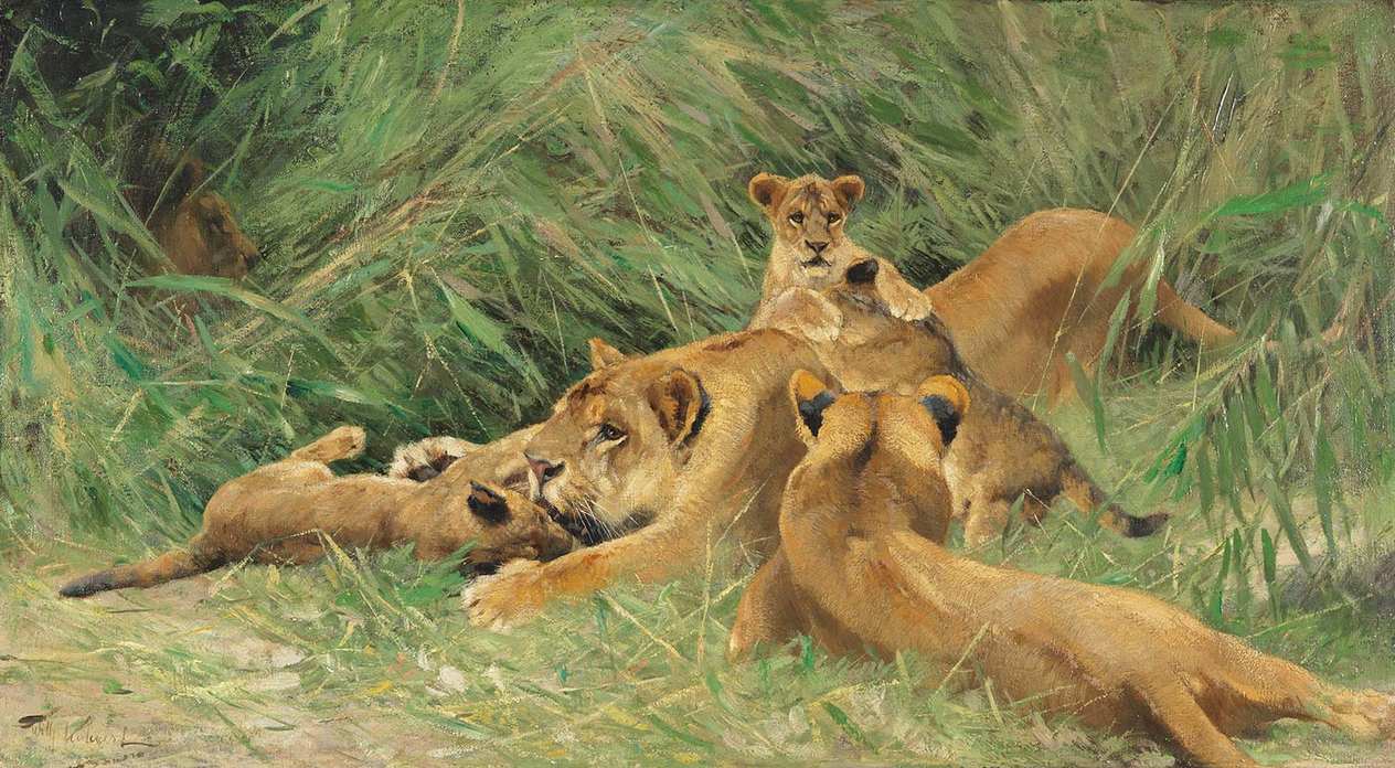Wilhelm Kuhnert Playing Lions Art Print