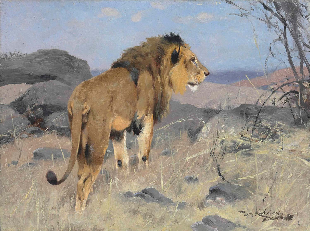 Wilhelm Kuhnert The Lion Art Print
