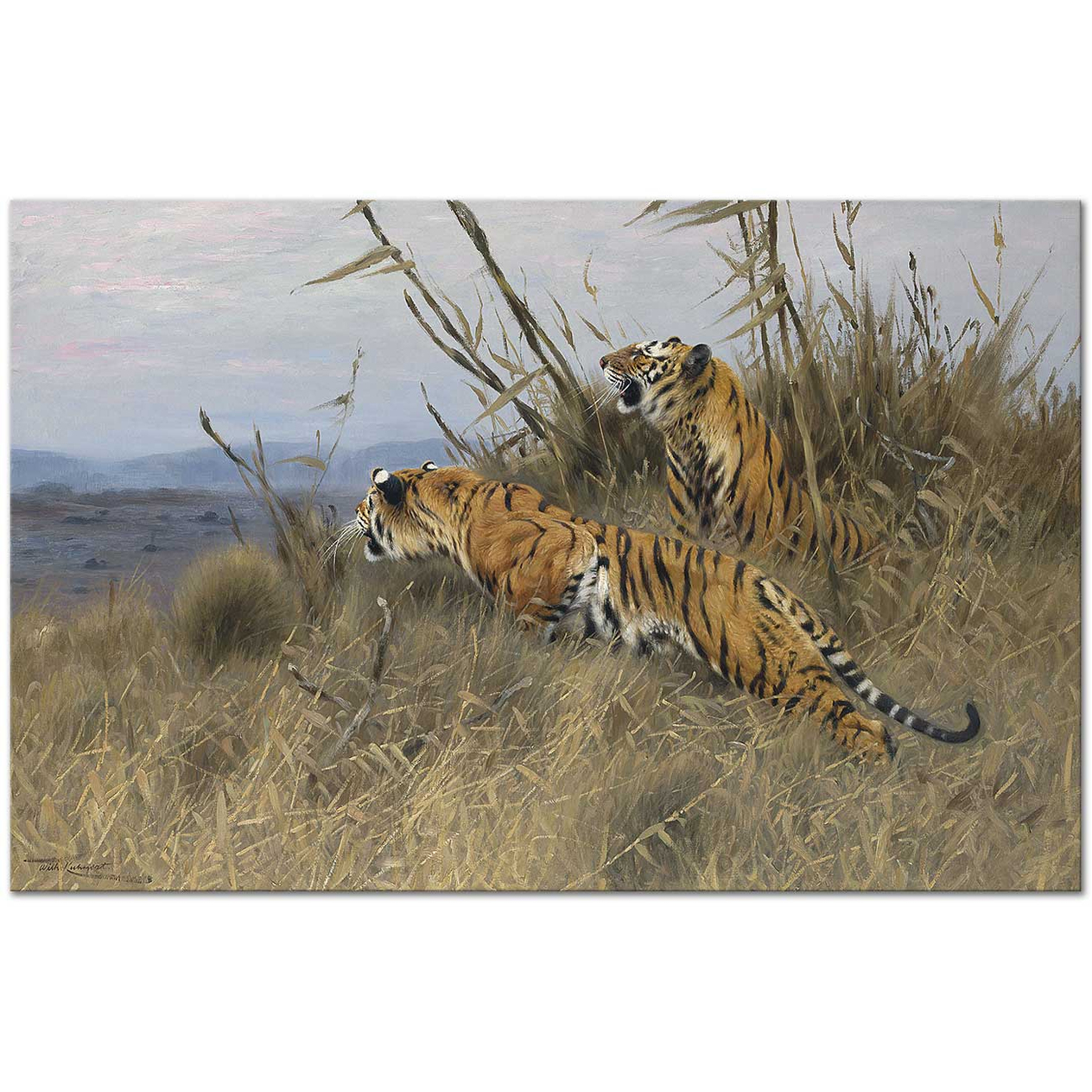 Wilhelm Kuhnert Tigers on the Prowl Art Print