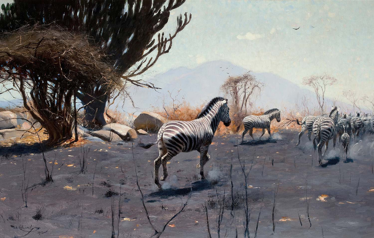 Wilhelm Kuhnert Zebras Art Print