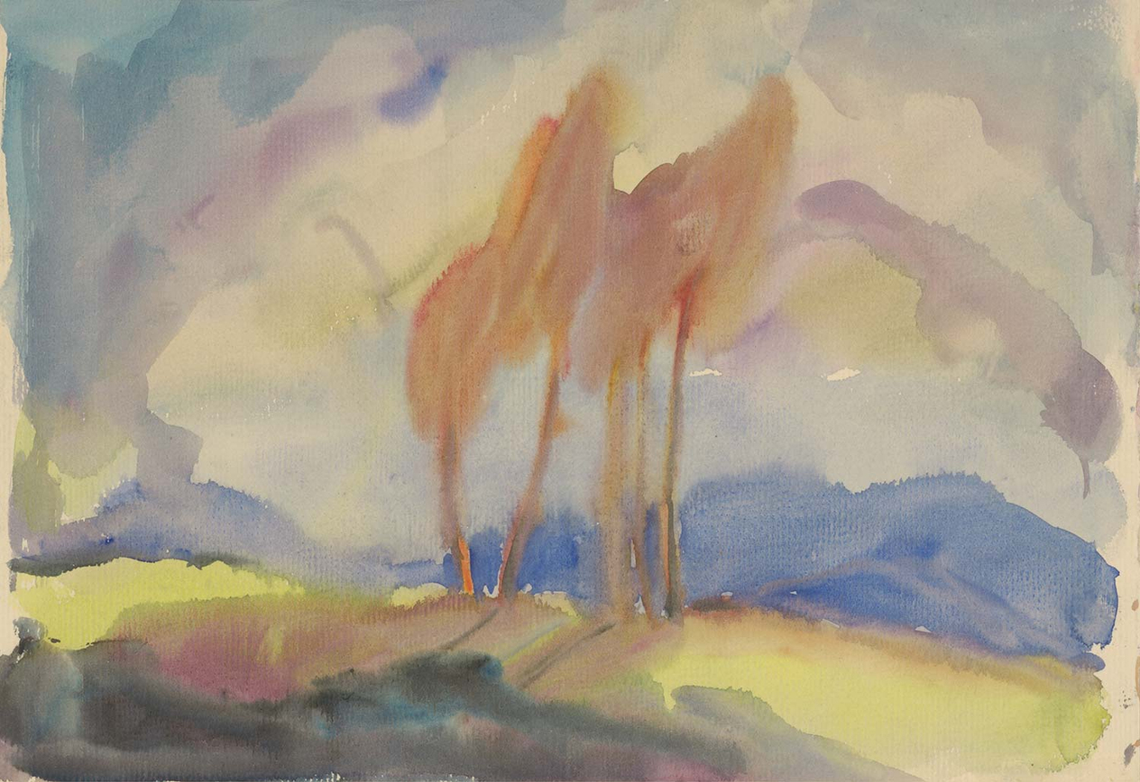 Zolo Palugyay Autumn, Birch Trees in a Sunlit Meadow Art Print