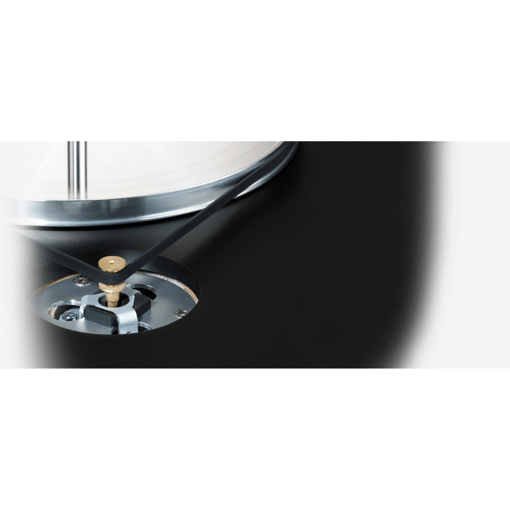 Clear Audio Concept Pikap