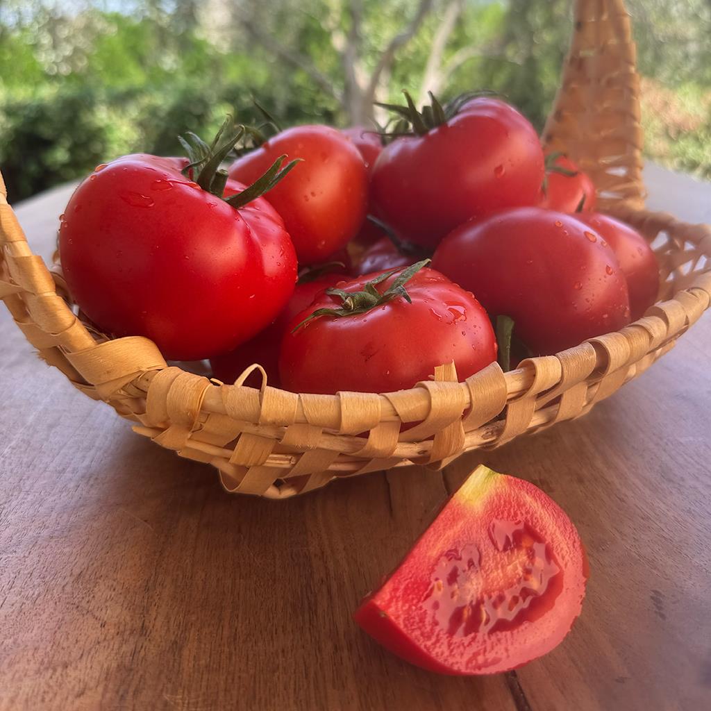 Köy Domatesi (1 Kg.)