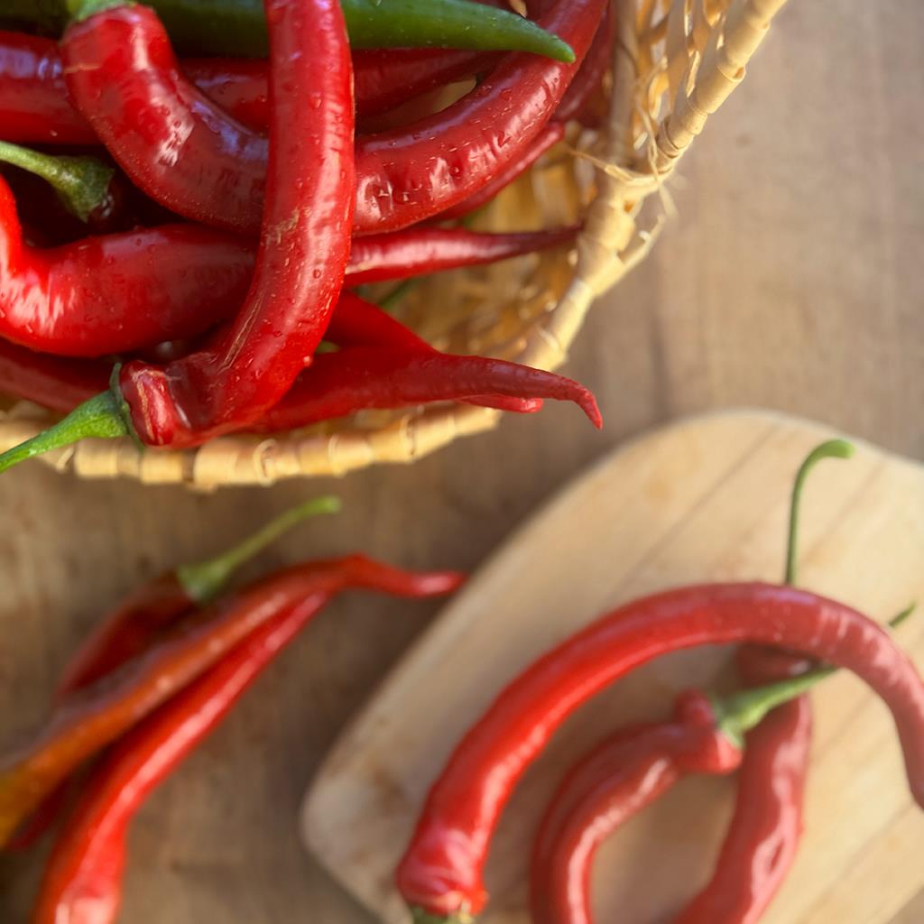 Muğla Acı Körüklü Köy Biberi (1 Kg.)