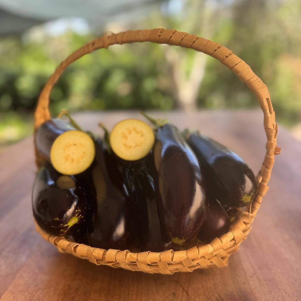 Muğla Mor Patlıcan (1 Kg.)