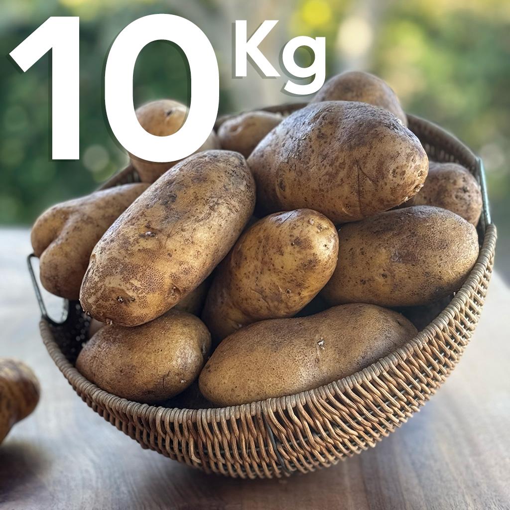 Yerli Patates (10 KG.)