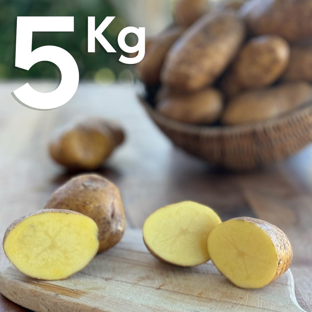 Yerli Patates (5 KG.)