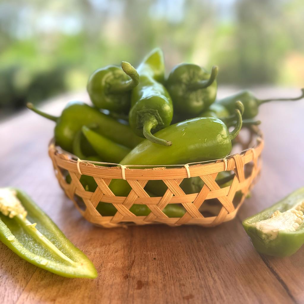 Yeşil Tatlı Kapya Biberi (1 Kg.)