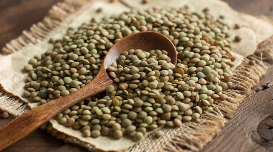 Yeşil mercimek baklagiller (Fabaceae) familyasına ait, günümüzde hem vejetaryenler hem de diğer tüketiciler tarafından yaygın olarak tüketilen bir besindir