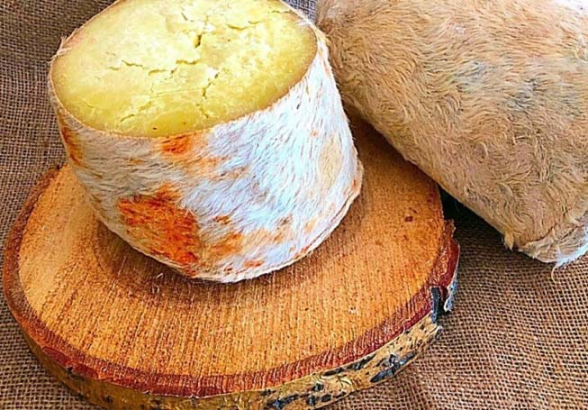 Divle Obruk Peyniri Nedir?