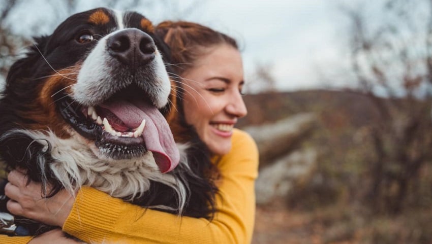 köpek sahiplenme
