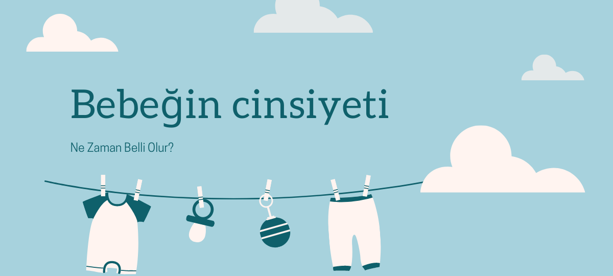Hamilelikte Bebeğin Cinsiyeti Ne Zaman Öğrenilebilir?