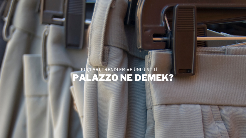 Palazzo Ne Demek?